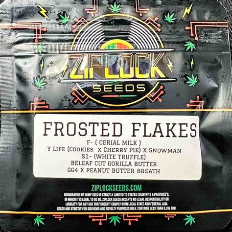 Ziplock Seeds Frosted Flakes 10 Feminized Seeds Gaslamp Seeds