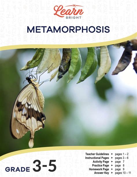 Metamorphosis Free Pdf Download Learn Bright