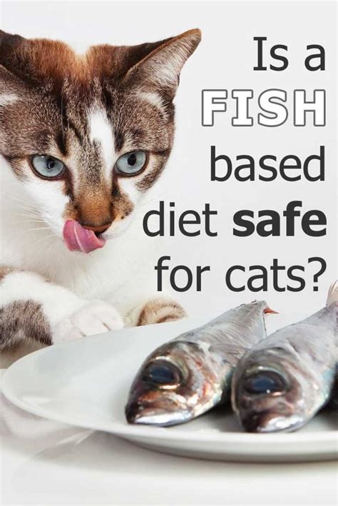 But a steady diet of tuna prepared for humans can lead to malnutrition because it won't have all the nutrients a cat needs. Can I Feed My Cat A Fish-based Or Fish-flavored Diet ...