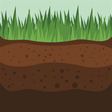 Soil Clipart Free 10 Free Cliparts Download Images On Clipground 2024