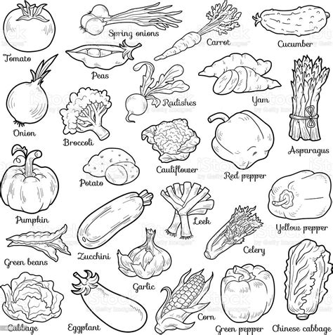 Ilustração De Colorless Legumes Vetor Definido Com Adesivos De Desenhos