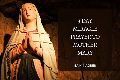 Day Miracle Prayer To Mother Mary Never Known To Fail