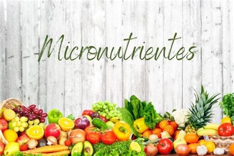 Micronutrientes Para Una Vida Saludable Qué Son Dónde Se Encuentran