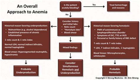 Approach To Anemia Workup Algorithm Hemorrhage Grepmed The Best