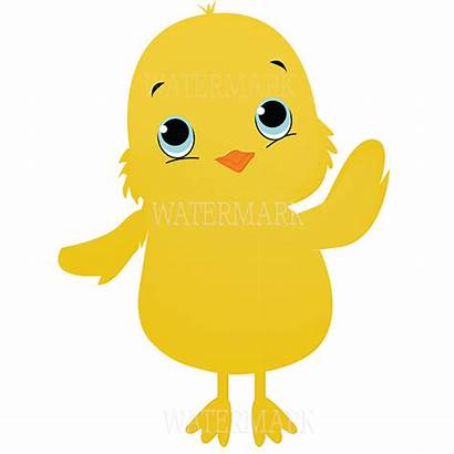 Clipart Chickens Chicken Easter Chicks Graphic Chick
