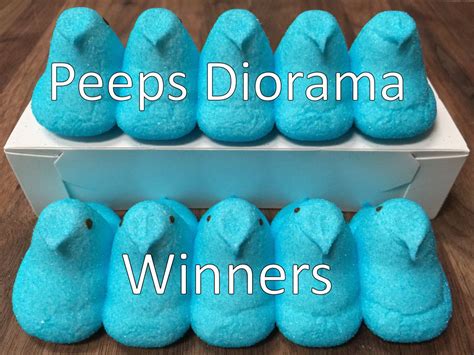 Winners Top 10 Peeps Dioramas Plus The Peeples Choice Winner