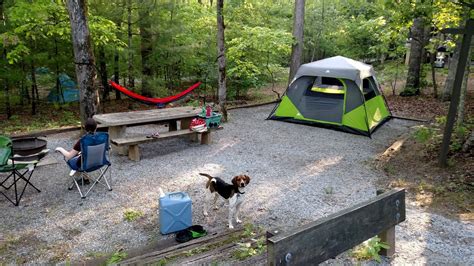 7 Outstanding Campgrounds Around Asheville North Carolina