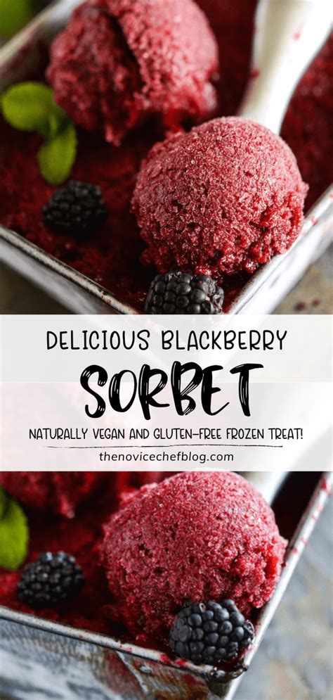 Blackberry Sorbet In 2023 Berries Recipes Homemade Sorbet Sorbet