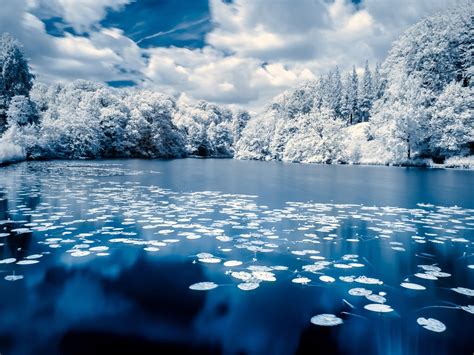 How To Do Infrared Photography With Basic Camera Gear
