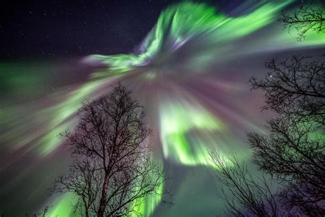 Discerning The Mystery 1859s Great Auroral Storm The Week The Sun