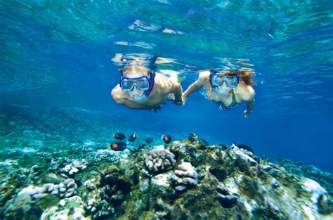 The 8 Best Maui And Molokini Snorkeling Tours 2020 Reviews Outside