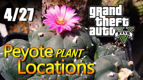 Gta 5 Peyote Plant Locations 0427 Youtube