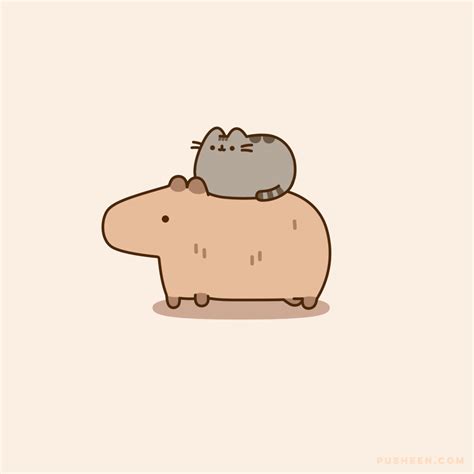 Pusheen Capybara