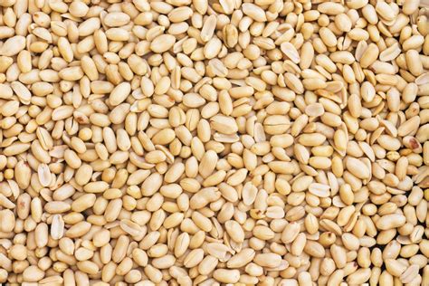 Severe Peanut Allergies: Scientists Make Breakthrough in Understanding ...
