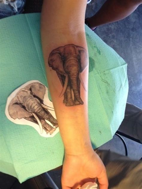 Elephant Tattoo Designs Elephant Tattoo Design Realistic Elephant