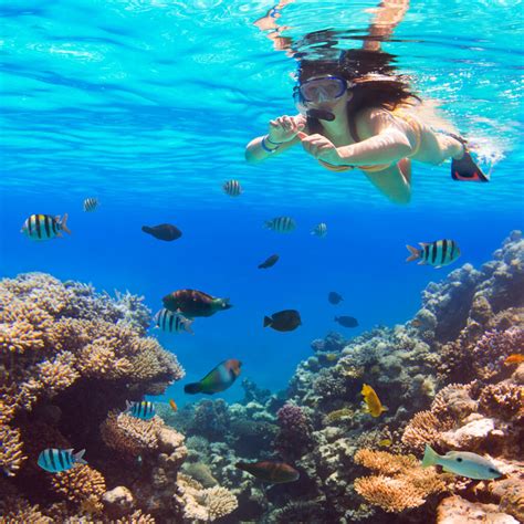 Best Snorkeling In Hawaii Insider Families