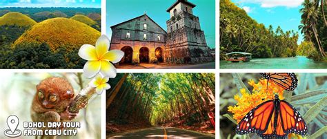 Bohol Day Tour From Cebu City Or Mactan Cebu Bohol Tour Budget