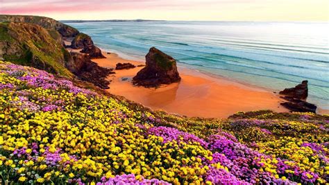 Beach Sky Colorful Water Sand Coast Ocean Flowers Beauty