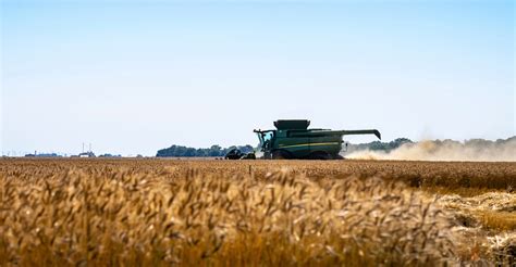 Good News For Wheat Harvest Oklahoma State University