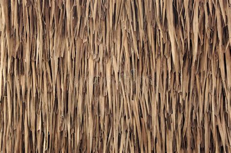 Wall Of House Made From Nipa Palm Leaves Texture Stock Image Image Of