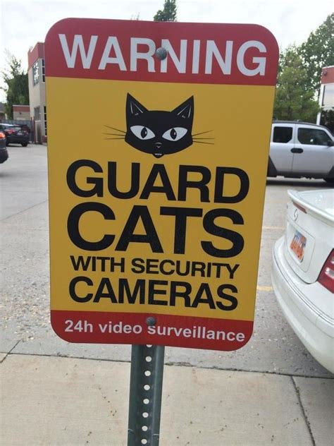 15 Honest And Hysterical Beware Of Cat Signs That Sum It