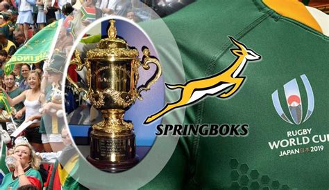 It Comes As No Surprise That The Springboks Won Team Of The Year At The