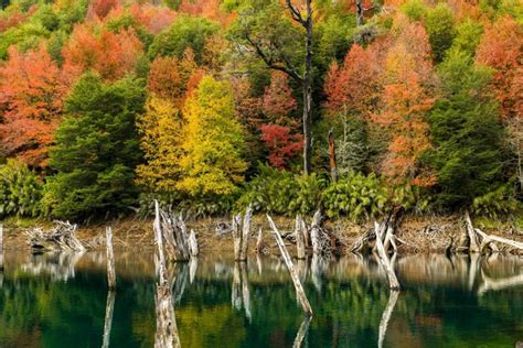 1096249 Trees Landscape Forest Fall Lake Water Nature