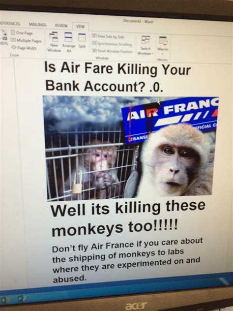 Monkey Lives Matter Monkeylives Twitter