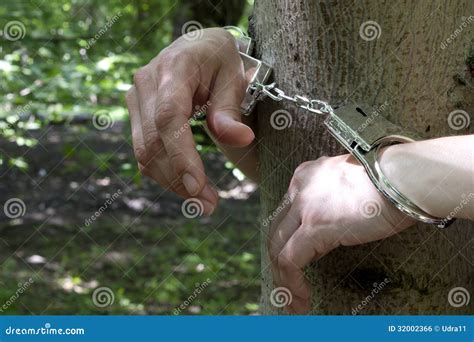 woman tied to a tree in the forest royalty free stock image image 32002366