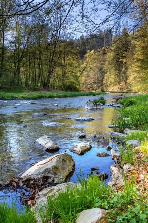 Beautiful Scenery Of Spring Landscape With River And Forest Stock Photo