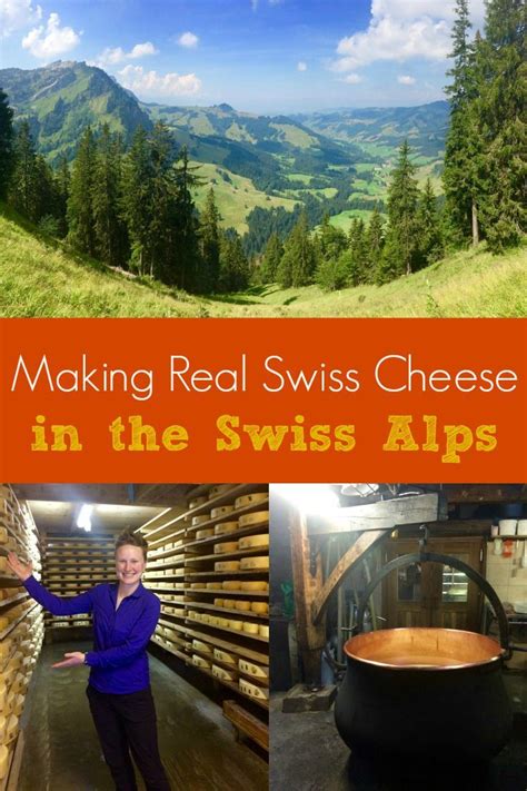Making Real Swiss Cheese And A Hike Through The Swiss Alps