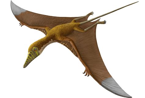 Flying Dinosaurs Pictures