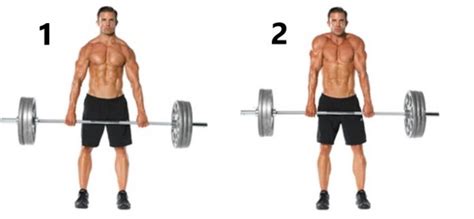 How To Do Barbell Shrugs Benefits And Tutorial Buildingbeast