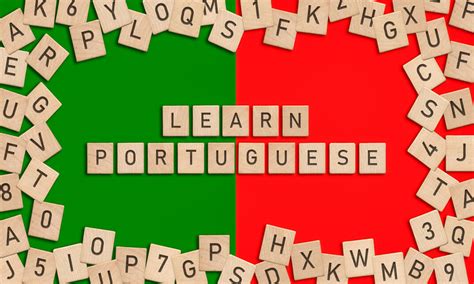 Portuguese Language Course Level 2 Knowledge Door