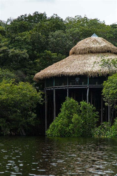 46 Sights Of The Amazon Rainforest To Make You Go Ooh Artofit