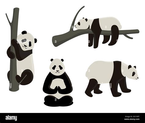 Vector Set Of Pandas In Different Poses Cartoon Style Illustrations
