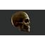 ArtStation  Realistic Human Skull PBR Game Model Smart Material