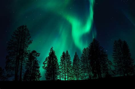 Aurora Northern Lights Phenomenon Atmosphere Sky Night Nature