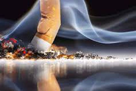 ما هي أنواع أمراض السرطان التي يسببها التدخين