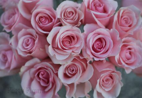 Rose Color Study Flirty Fleurs The Florist Blog Inspiration For