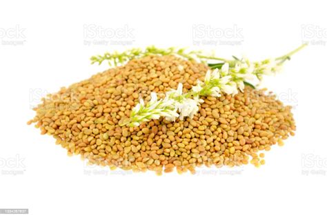 Melilotus Officinalis Seeds Isolated On White Background Top View Seeds