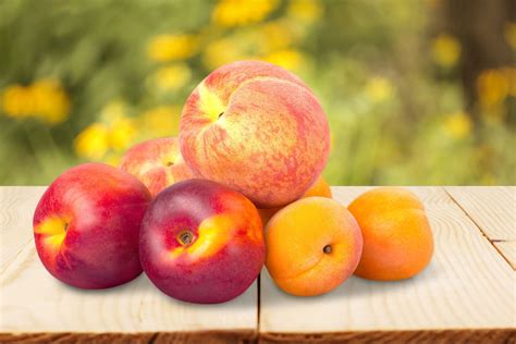 10 Benefits For Stone Fruits On The Table