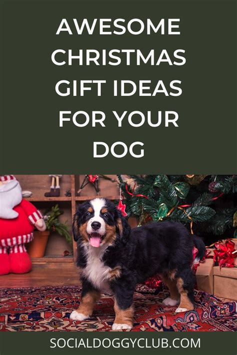 20 Ultimate T Ideas Your Dog Will Love Artofit