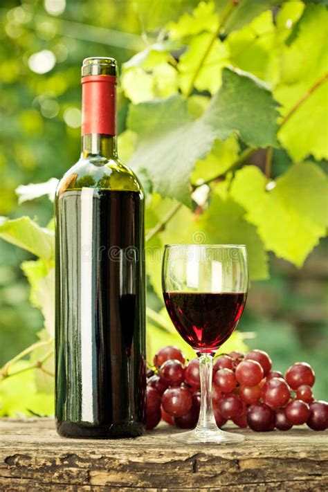 Here you can explore hq wine bottle transparent illustrations, icons and clipart with filter setting like size, type, color etc. Red Wine Bottle, Glass And Bunch Of Grapes Stock Photo ...