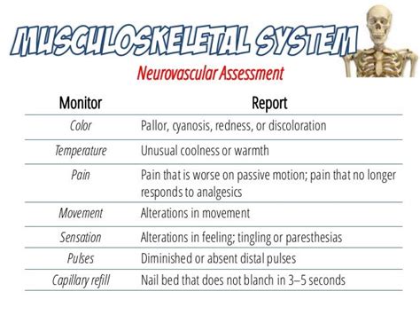 Neurovascular Assessment Nursing School Survival Musculoskeletal
