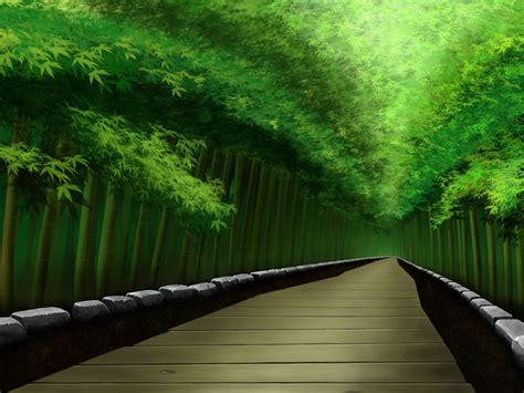 Bamboo Forest Hd Wallpaper