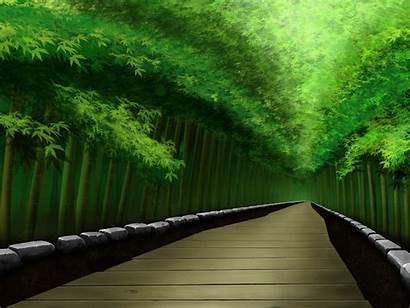 Bamboo Forest Wallpapers Japan Backgrounds Computer Background