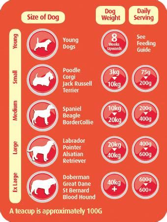My {{calculator.pet}}'s weight is (lbs): A Dog Feeding Guide for a Healthier Pooch - Paperblog