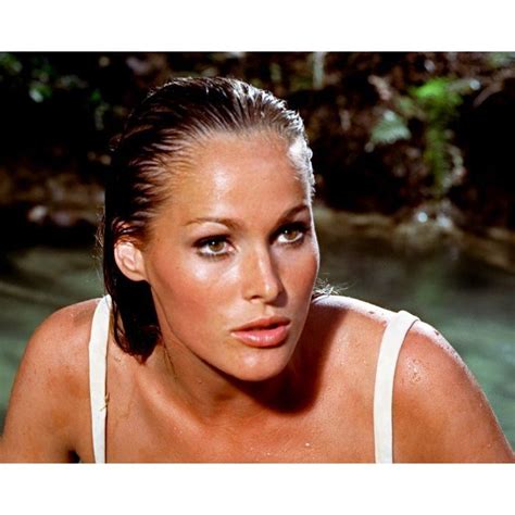 Sean Connery Ursula Andress Glossy 8x10 Photo Zgs 19 On Ebid United