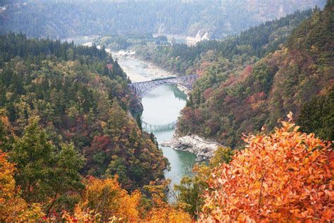 The shinano, or chikuma, on the island of honshu is the longest river in japan. A panoramic view of Tadami River in Japan — Steemit